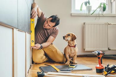 Dog helping a home renovator do energy efficient upgrades